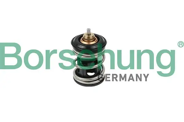 BORSEHUNG B18261 | Termostat Audi A1 A3 A4 A5 Q3 Seat Caddy Polo Passat Rapid Scala Superb III Yeti