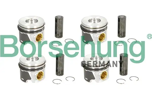 BORSEHUNG B19303 | Piston Segman Std Caddy Jetta Passat 2 0 TDI