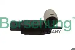 BORSEHUNG B11247 | Cam Su Bidon Motoru-Caddy / T4 / T5 / T6 / A6 / Q3