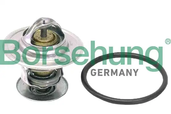 BORSEHUNG B18262 | Termostat Scirocco Golf Passat Caddy Jetta Toledo