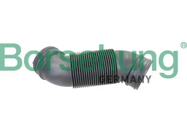 BORSEHUNG B12323 | Hava Filtre Ara Hortumu Golf 1 6 Cwva Toledo 1 6 Cfna