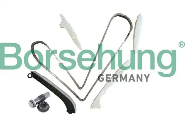 BORSEHUNG B10238 | Eksantrik Zincir Seti Mercedes M272 M273 W204 W211 W164 W221 559 0042 10