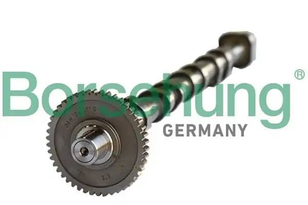BORSEHUNG B18980 | Eksantrik Mili Eksoz Dişli Ile Beraber Audi Golf