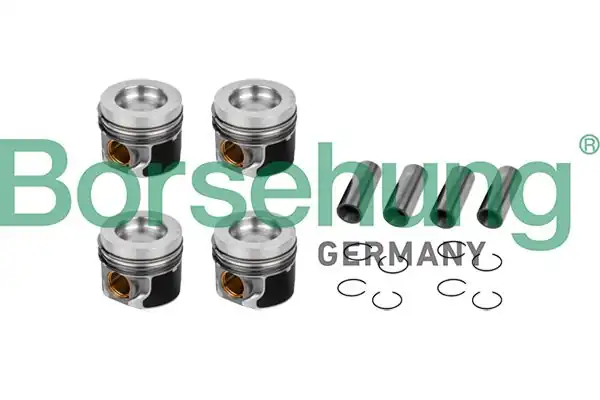 BORSEHUNG B11132 | Piston Segman Std Amarok Caddy Golf Passat