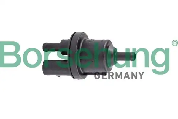 BORSEHUNG B12317 | Selenoid Valfi Polo Golf 6 Golf 7 Jetta Passat