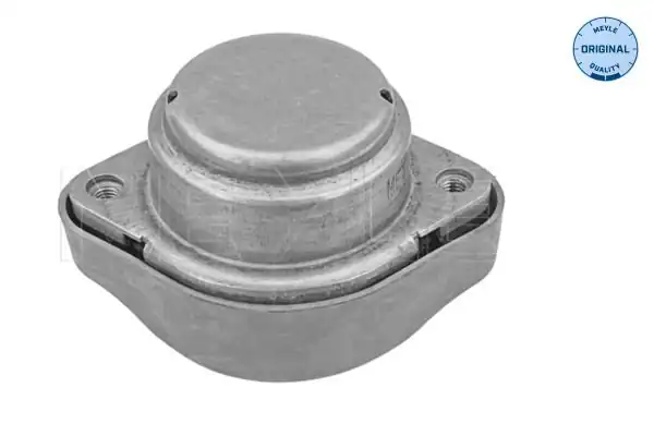 MEYLE 1001300011 | Şanzıman Kulağı VW Passat A4 A6 96 04 2 4 2 5 2 8