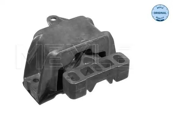 MEYLE 1001990053 | Motor Kulağı VW Golf IV 1 8 B 1 9 TDI Sol