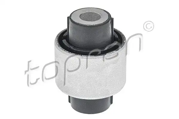 TOPRAN 111005 | Salıncak Burcu VW