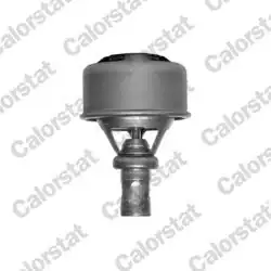 VERNET TH4495.89 | Termostat 89°C Renault R9-R11-R19-R21 Concorde Clio I 1.4 87-