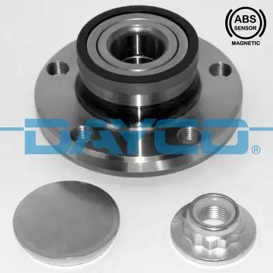DAYCO KWD1006 | Arka Porya 5x100 VW Polo 02 18 Audi A1 11 18 Seat Ibiza 02 17 Skoda Fabia 00