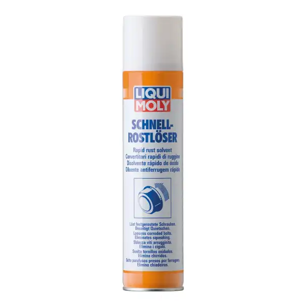 LIQUI MOLY 1612 | Pas Sökücü 300 ml (1612)