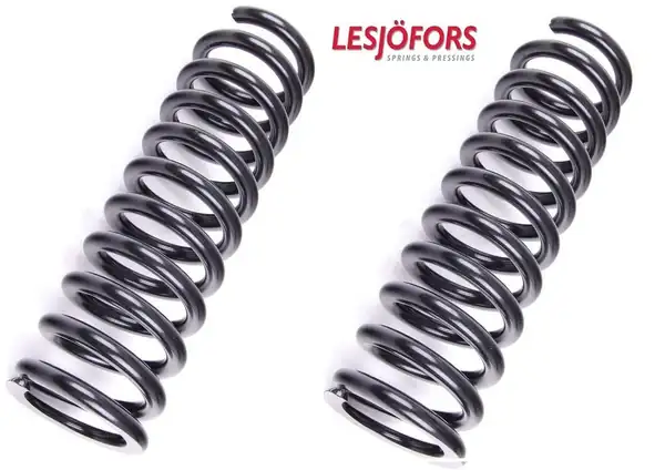 LESJÖFORS 4256803 | Mercedes W124 Kasa Arka Helezon Yay Takımı