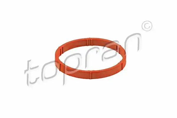 TOPRAN 109374 | Emme Manifolt Conta VW Golf 98 14 Passat 06 11 Audi A3 97 13 Seat Leon 00 13 10 Adet