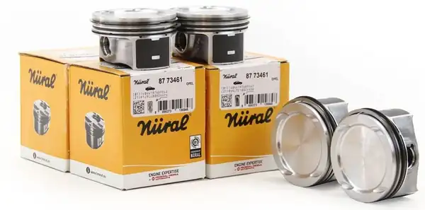 Chevrolet Cruze 1 4 Turbo Motor 0 50 mm Piston Segman Takımı Taşıyıcılı Göetze Nural
