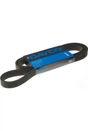 DAYCO 6PK1920 | V Kayışı Ford Focus/Escort 1.6 Benzinli 95-05, klimalı