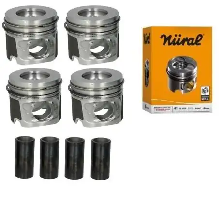 Göetze 70246std Bmw F30 E60 E61 E81 E82 E83 E87 E88 E90 E91 N47 318d 320d Piston Segman