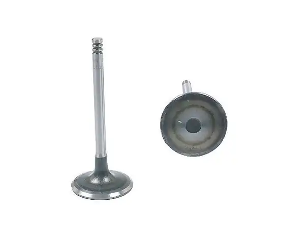 SUPAR 101414108 | Bmw 3 Serisi E36 Kasa 316i M40 Motor Subap Takımı Emme-Egsoz 8 Valf