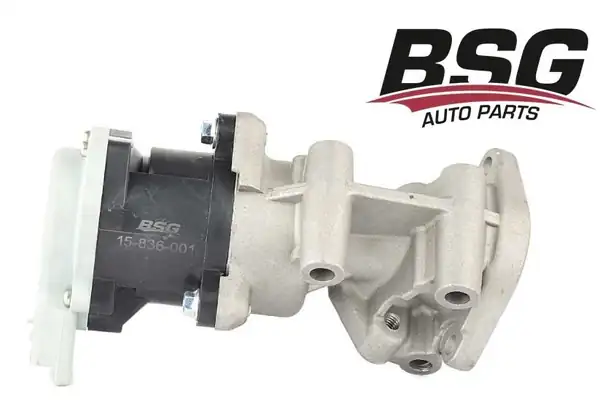 BSG 15-836-001 | Egr Valfi Sol Range Rover Sport Discovery III 2 7 TD 05 10
