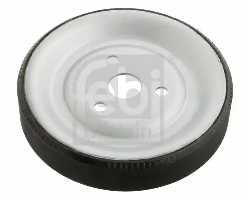 Febi Bilstein 102466 Bmw F30 Kasa 320i Devirdaim Kasnağı F20 F21 F31