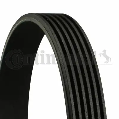 Continental Ctam 6pk1480 Kanallı Kayış Peugeot 406 3 0 24v 95 04 Seat Arosa 1 0 8v 97 00 VW Lupo 1 0 8v 98 00