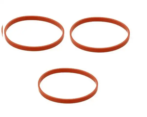 VİCTOR REİNZ 71-11403-00 | Bmw F36 Kasa Emme Manifold Contası B38 B48 B46 F20 F30 F39 Mini F55 F56 F57 F60