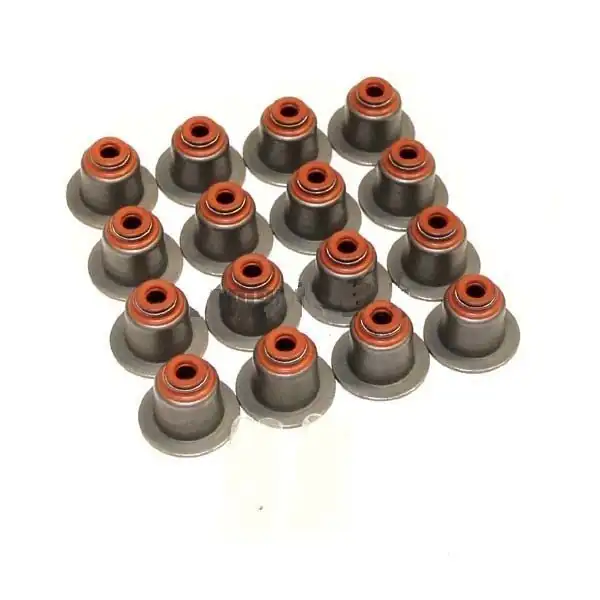 VİCTOR REİNZ 12-39398-01 | Subap Lastiği Takımı Bmw E90 320d N47 E81 E88 F20 F30 F10 11