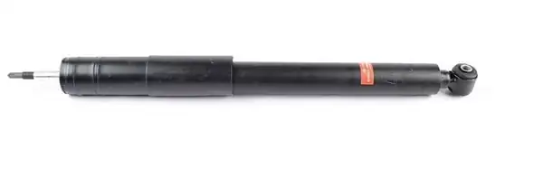 BSG 60-300-054 | Amortisör Arka 169 245 Bm 04 11 12219