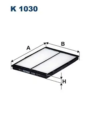 FILTRON K1030 | Polen Filtresi Megane